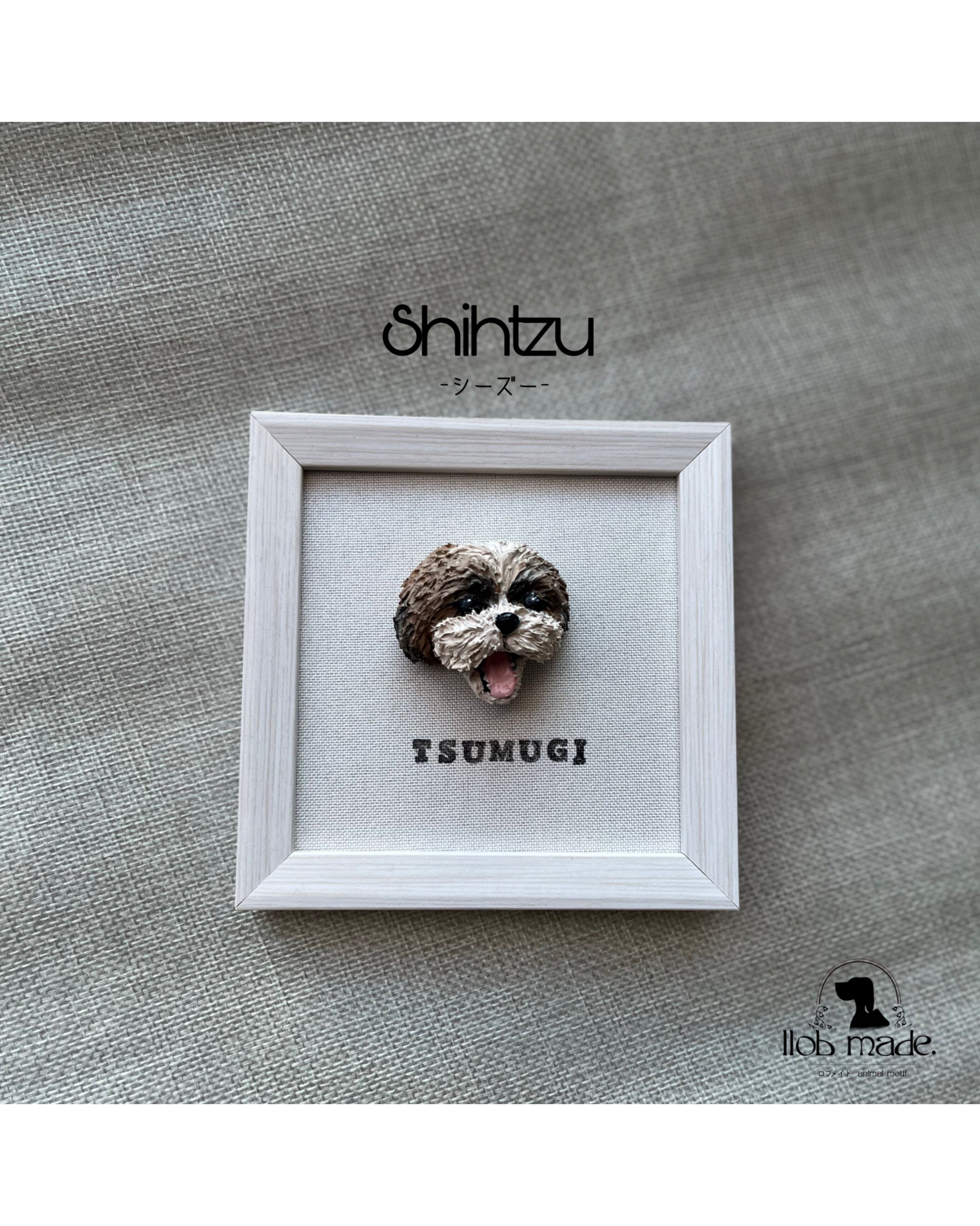 シーズーちゃん🐾