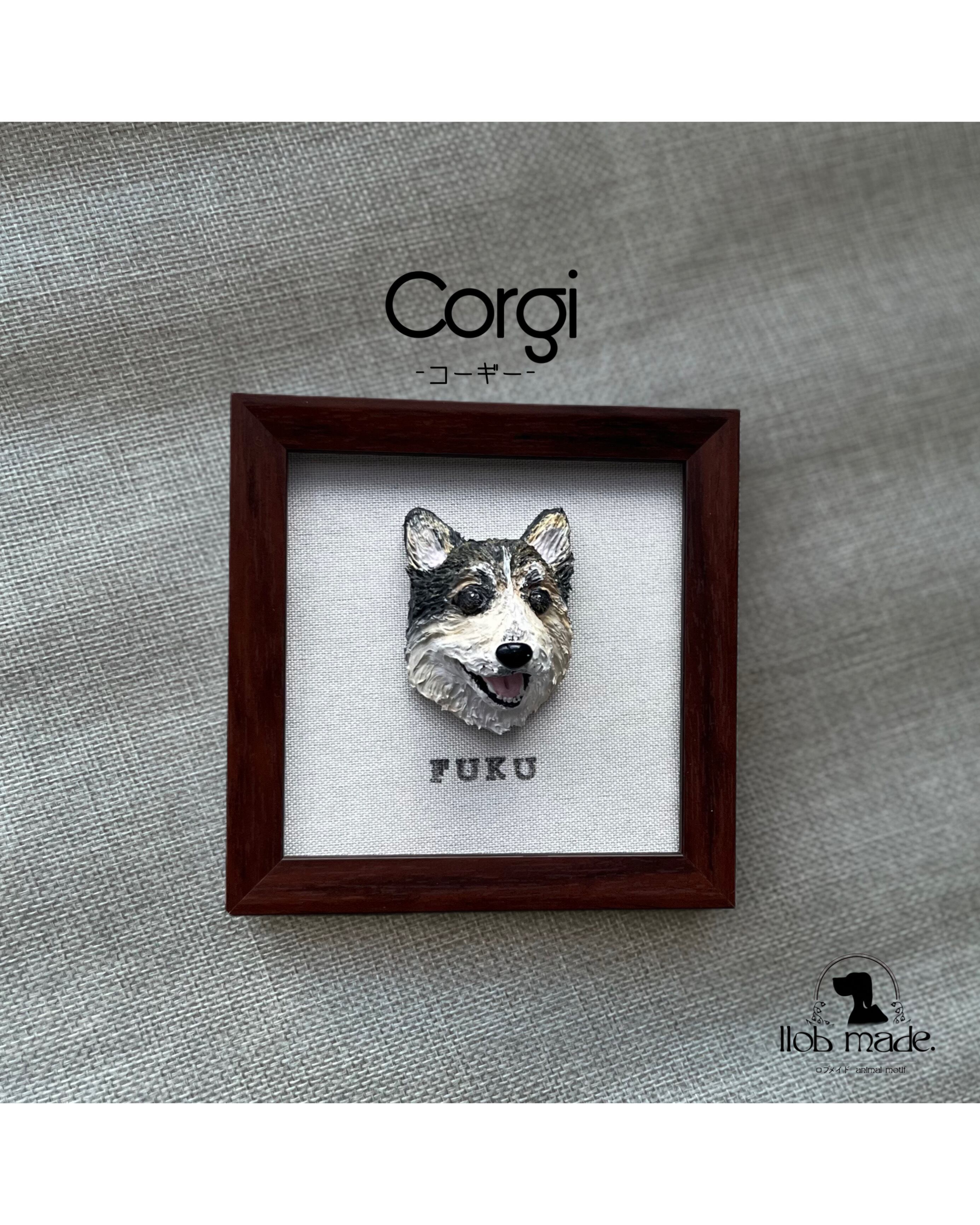 コーギーちゃん🐾
