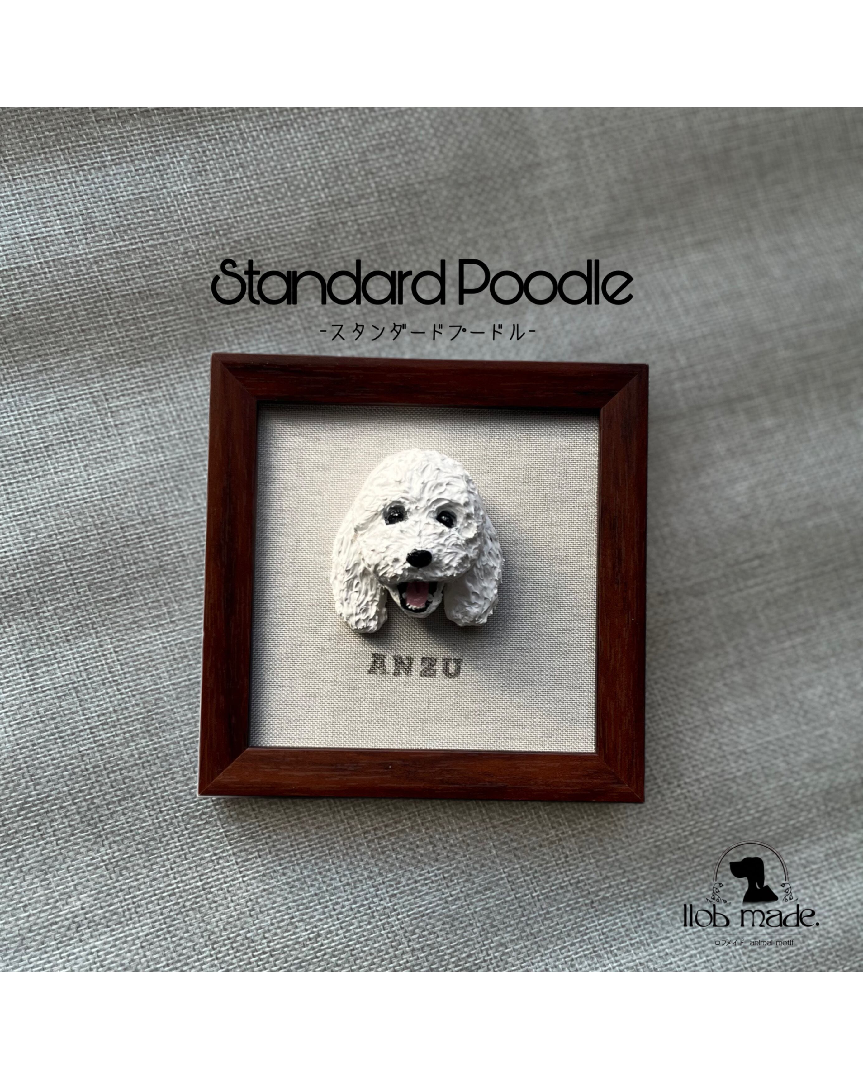 スタンダードプードルちゃん🐾