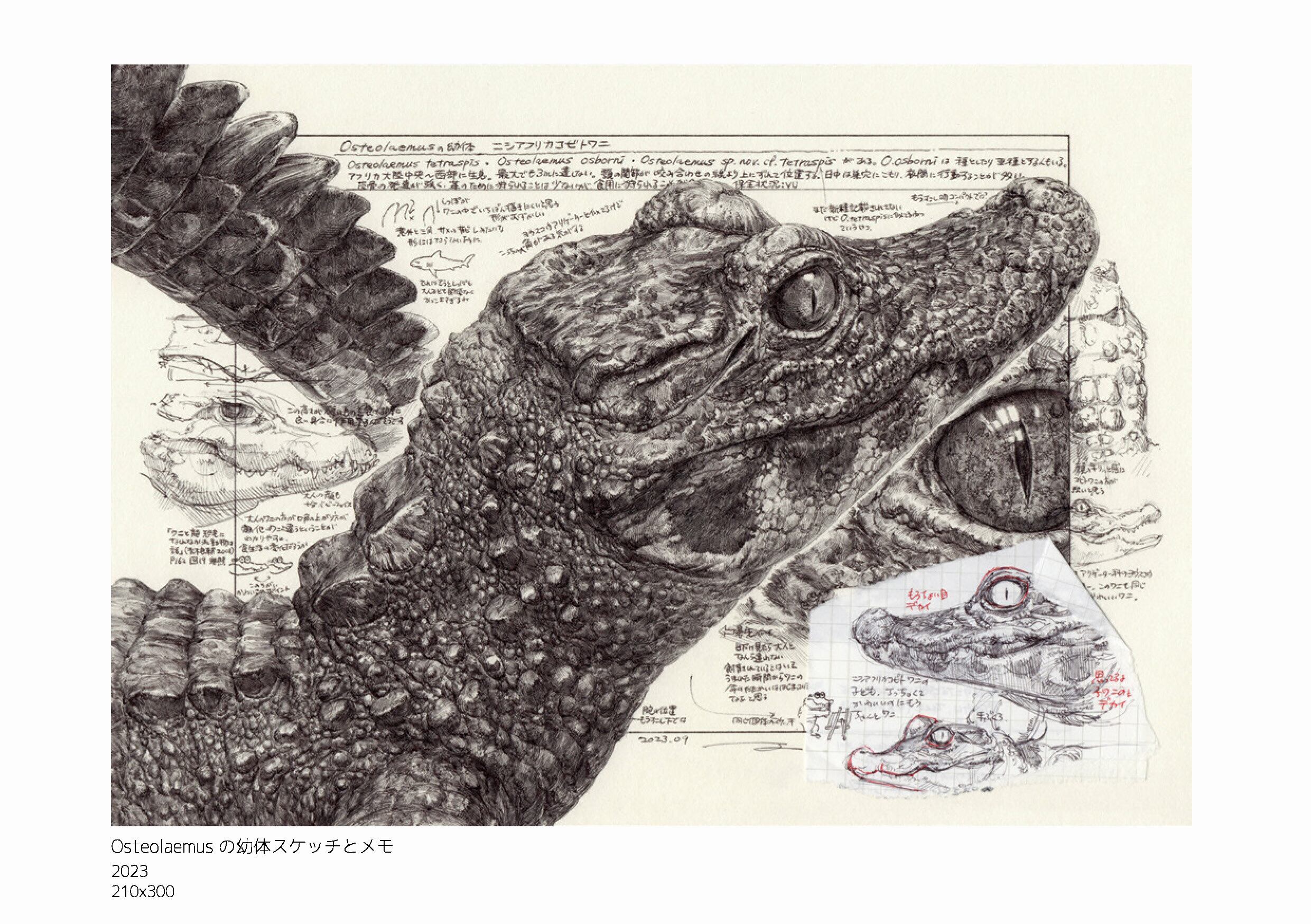 img_58284d35041d82cdd8ffe92f0c