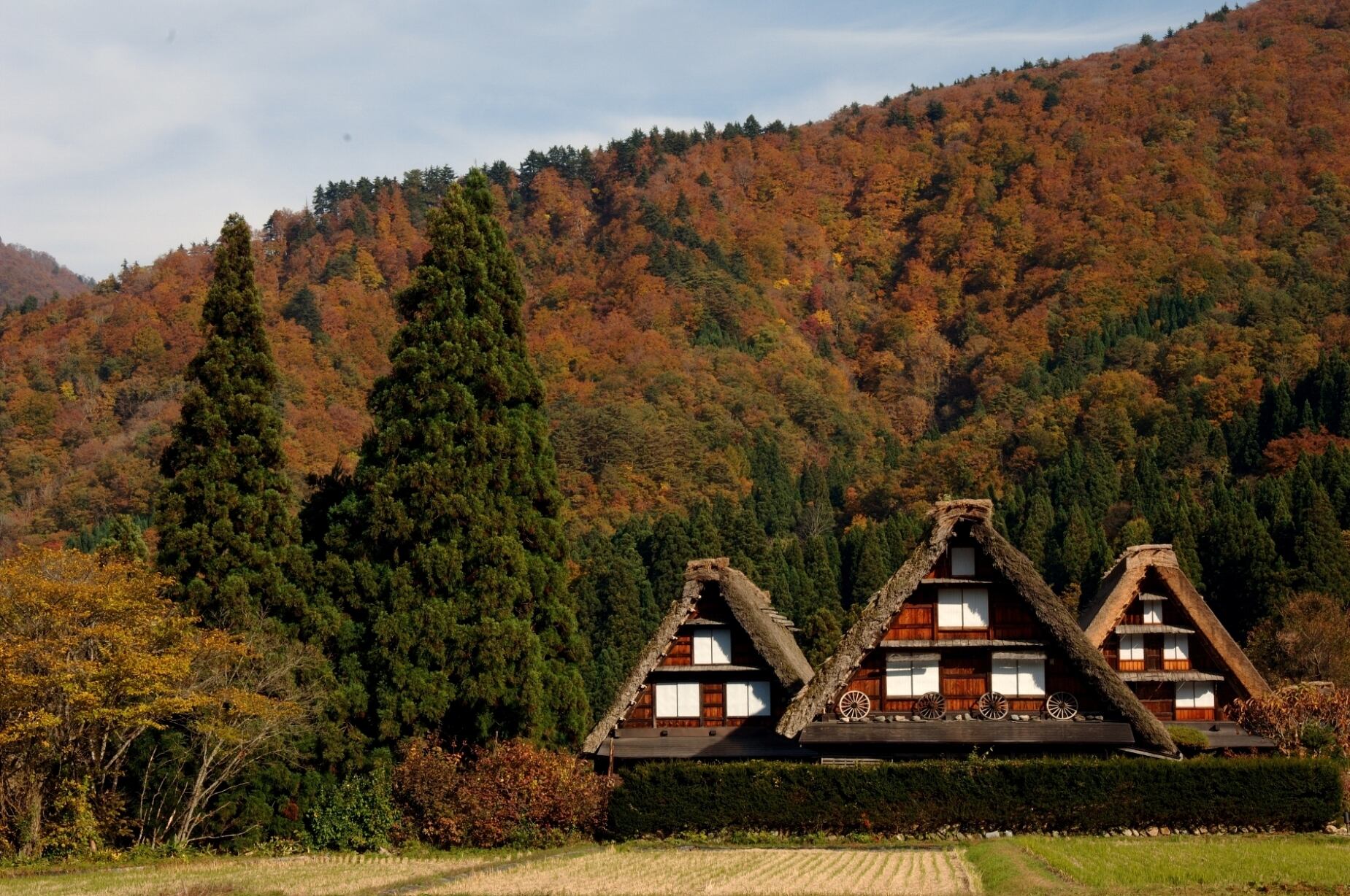 Shirakawa-go(写真提供　岐阜県白川村役場)