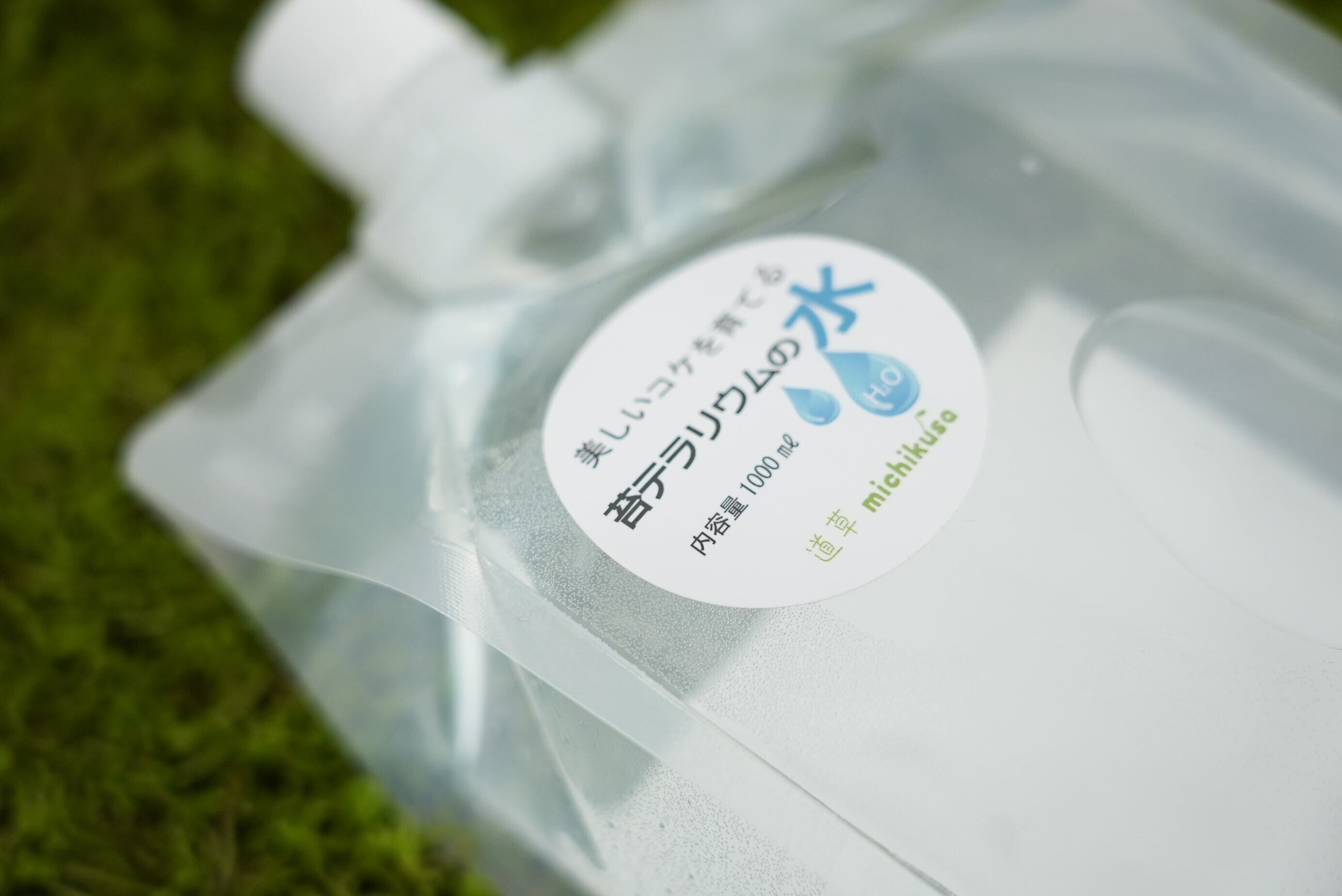 広口洗浄瓶250ml【水差し】【苔テラリウム作製用ツール】 | 苔