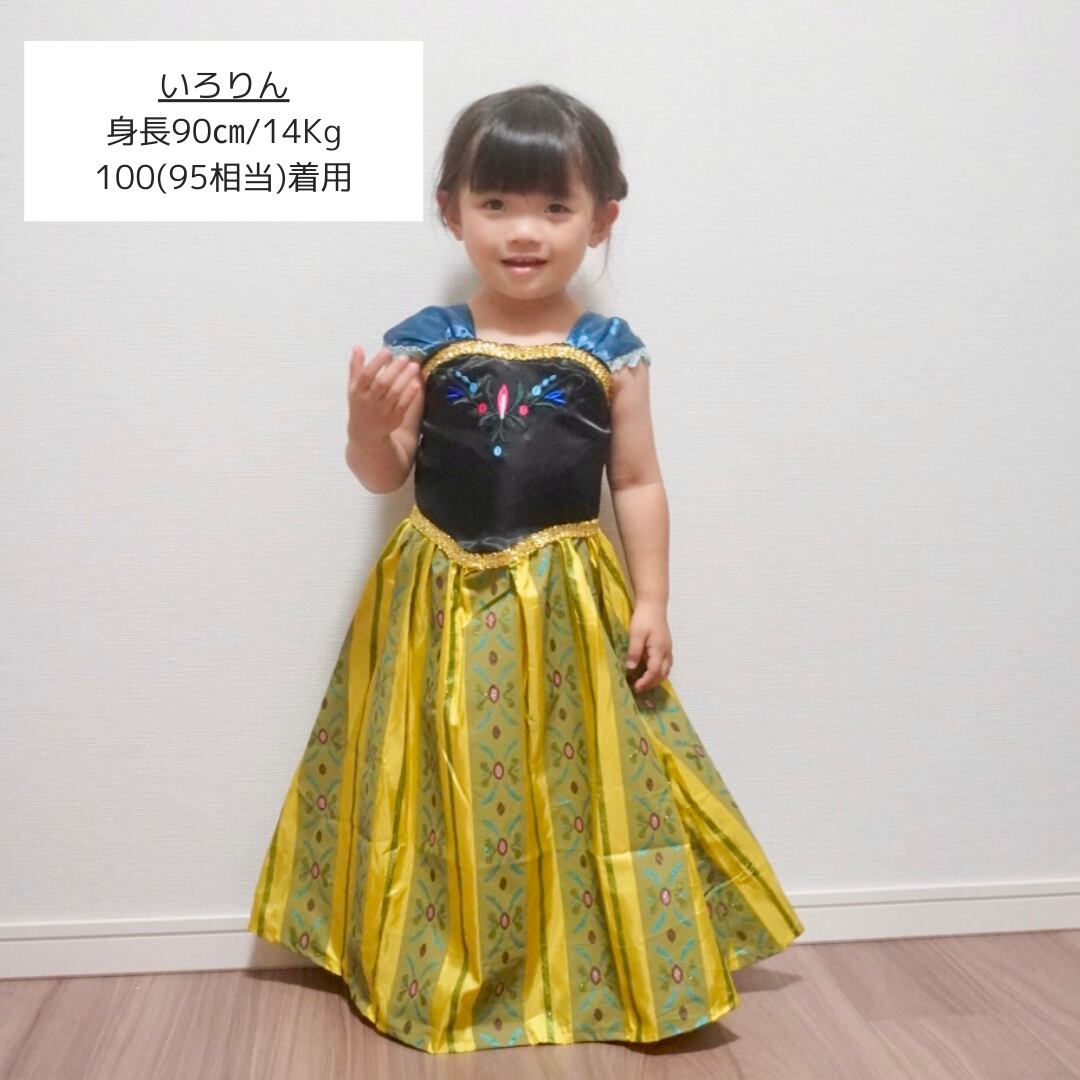 100サイズの着画を紹介