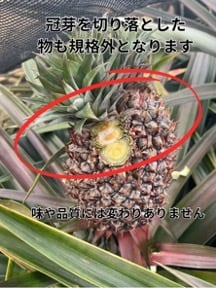 味や品質には変わりありません