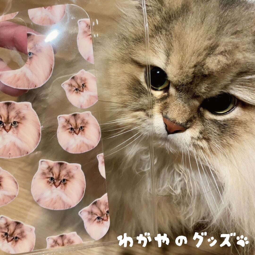 できあがりツーショット①