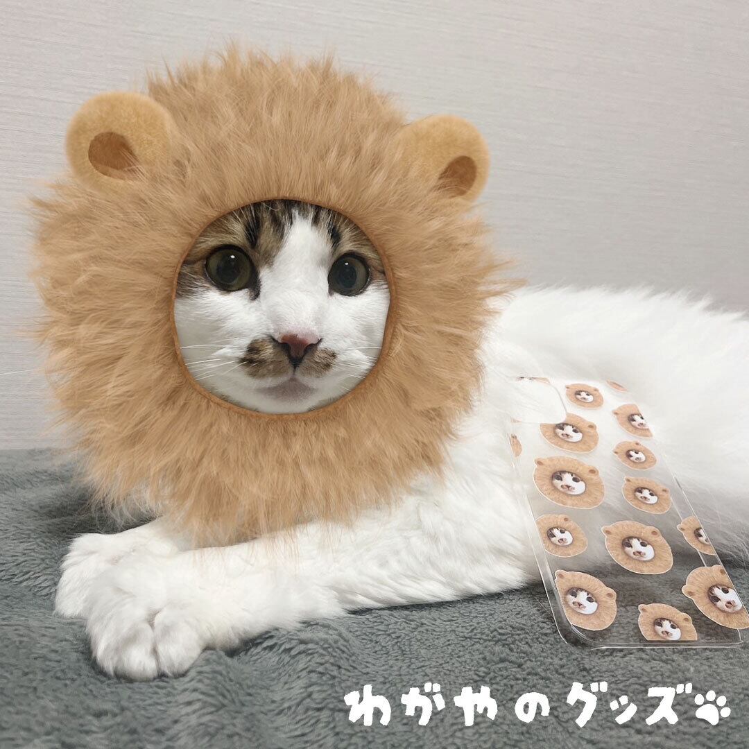 できあがりツーショット③