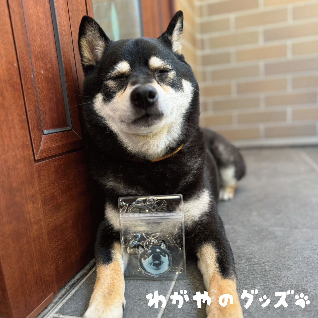 できあがりツーショット②