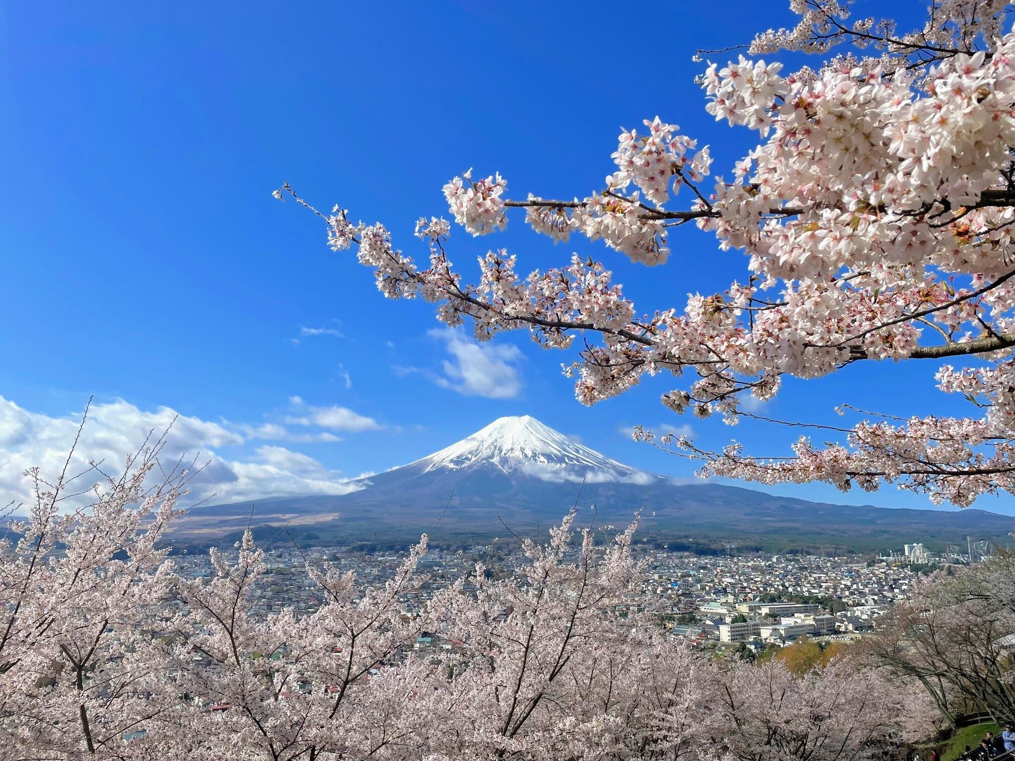 Views from Sengen Shrine
