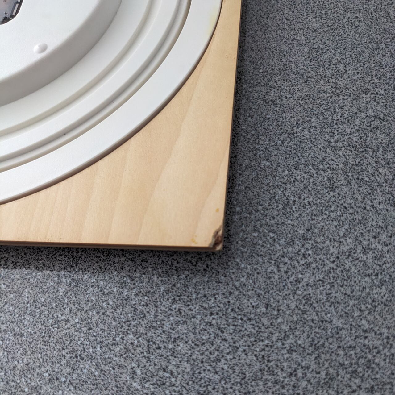 裏側角にやや目立つ角のカケ