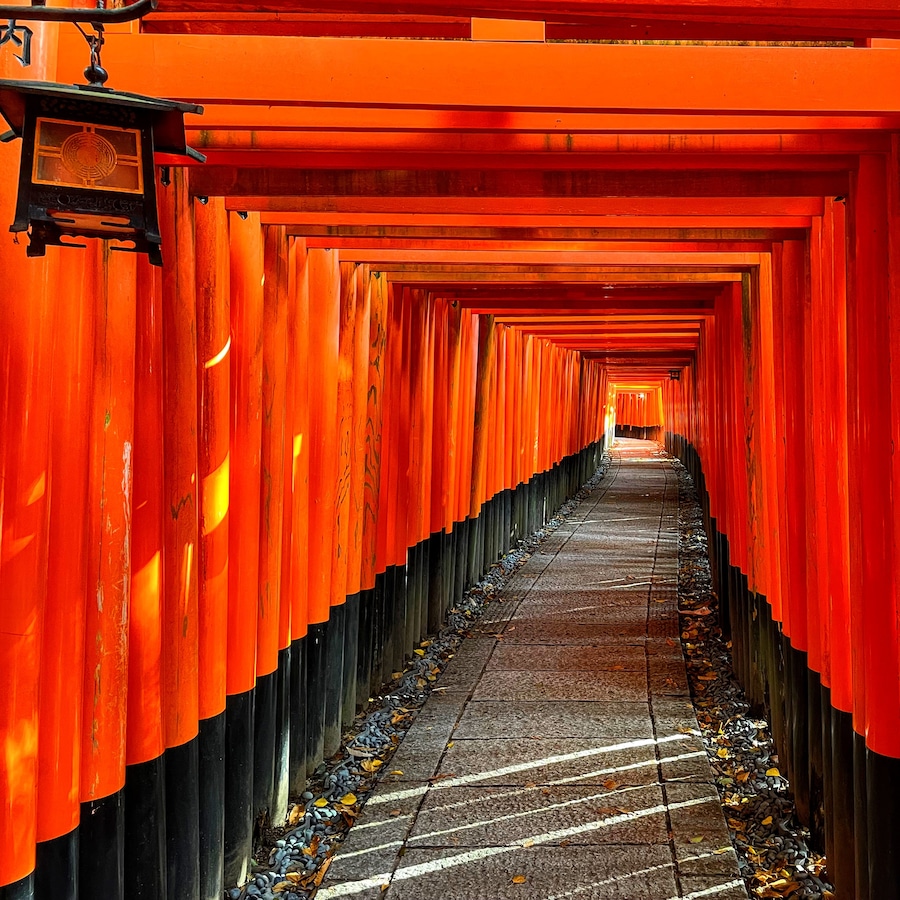 Thousands Torii Red gate 