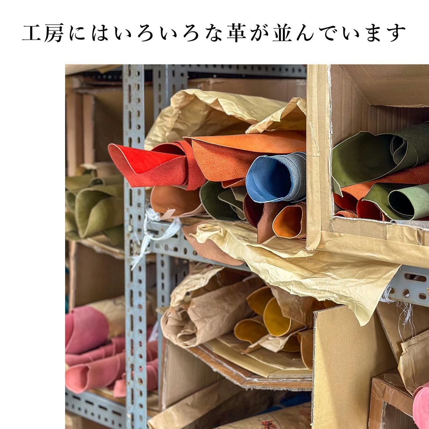 teru3様専用 コケ各種7パレットとオオカサゴケ15本 【公式通販】