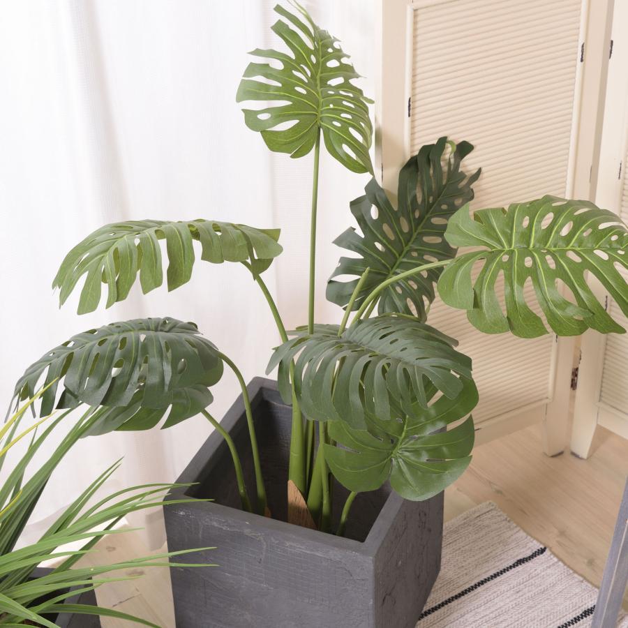 ※グリーンベースは別売りです