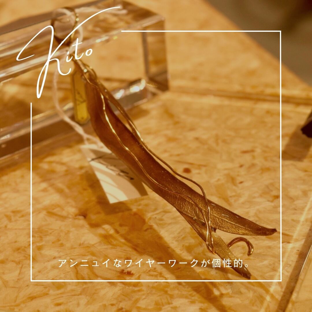 ゴールドユーカリイメージ2