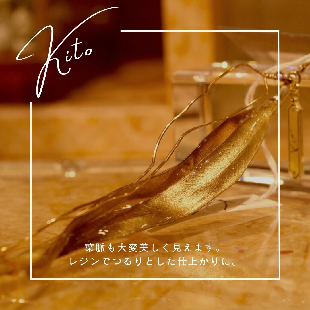 ゴールドユーカリイメージ