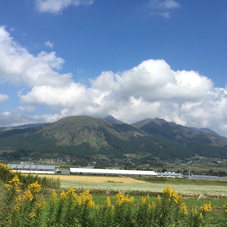 紀の川のそばの風景