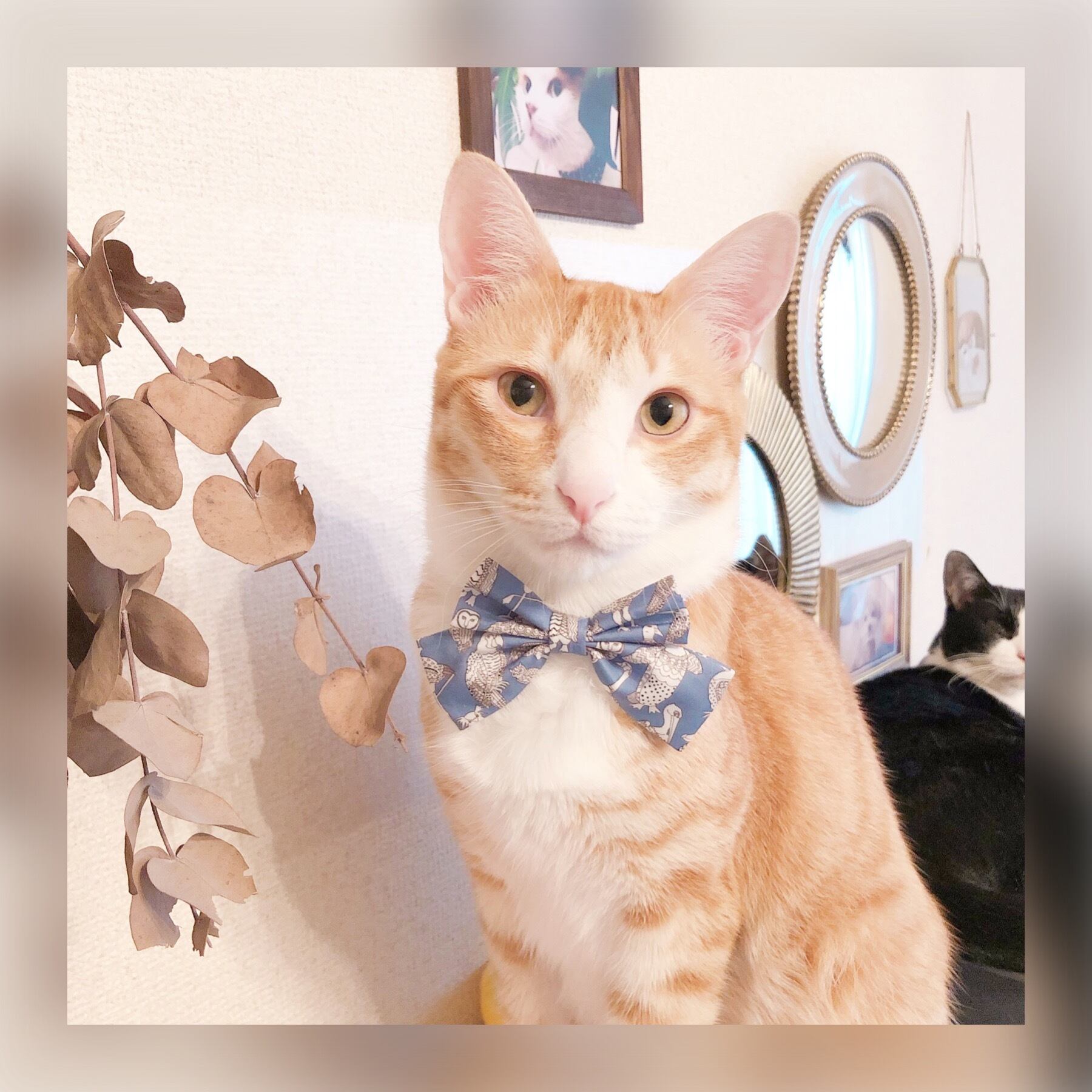COGTHEBIGSMOKE ELIN COATベンガル猫柄ボアリバーシブル COGTHEBIGSMOKE ELIN COATベンガル猫柄ボアリバーシブル