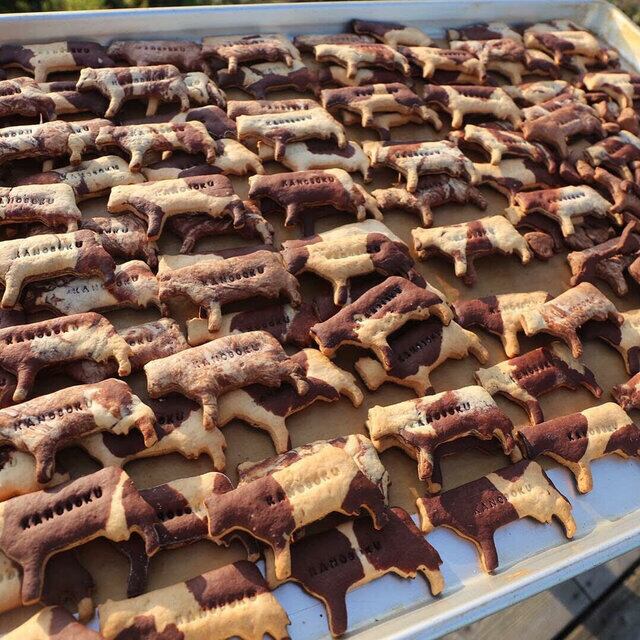 牛舎に隣接する工房で丁寧に焼き上げています