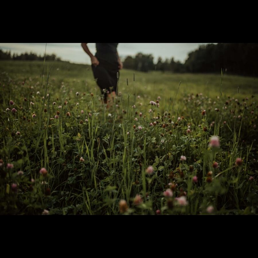 PLŪKTのハーブティー