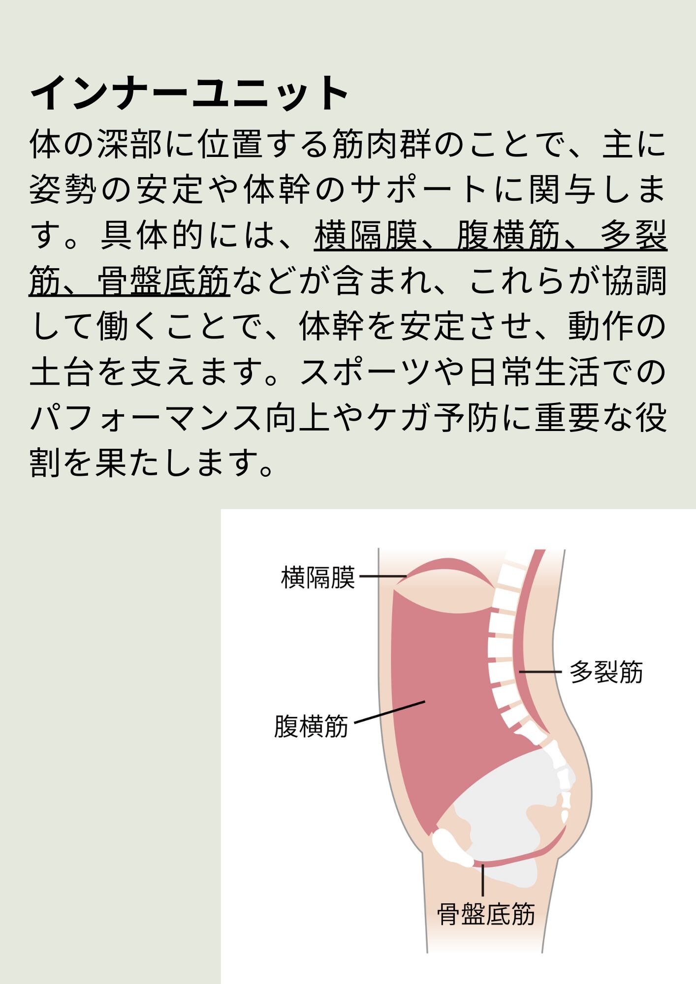本 運動連鎖インソール 理学療法から生まれたインソールを学ぶ
