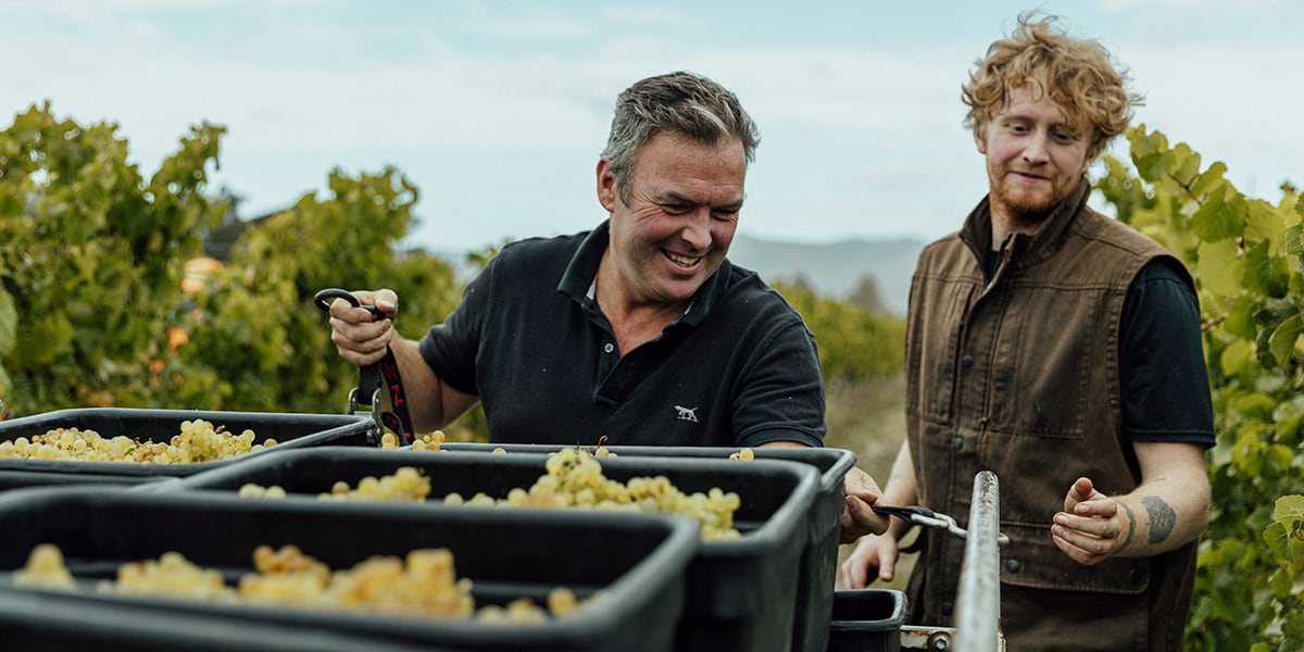 Novum Marlborough Basket Press Syrah | Southern Cross Wine Club
