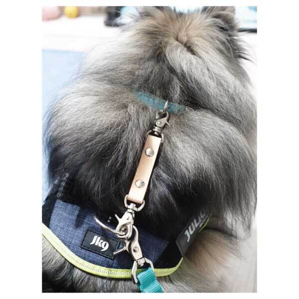 お散歩中にハーネスが抜けて逃げてしまった！