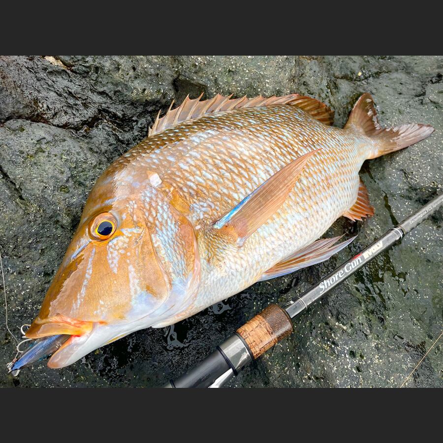 荒れた波の中、飛び出してきたのは65cm程の強力な個体!!