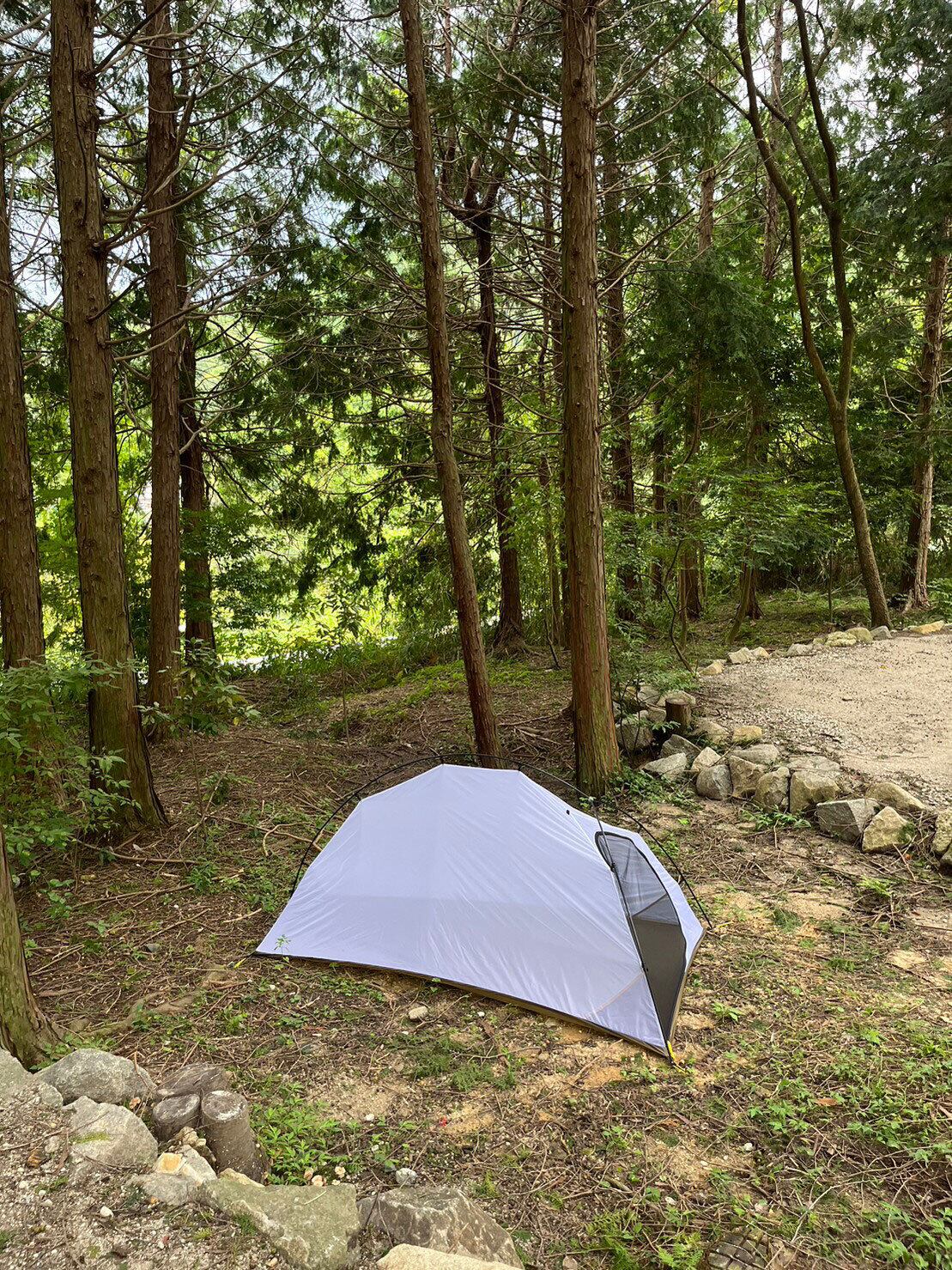 インナーメッシュは明るい白