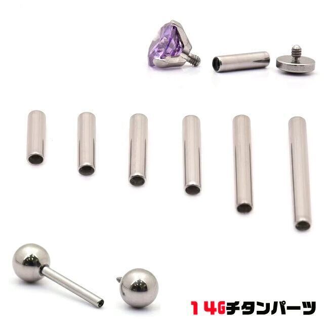 14G ANATOMETAL 限定商品/Limited Item ポラリスエンド HP ボディ