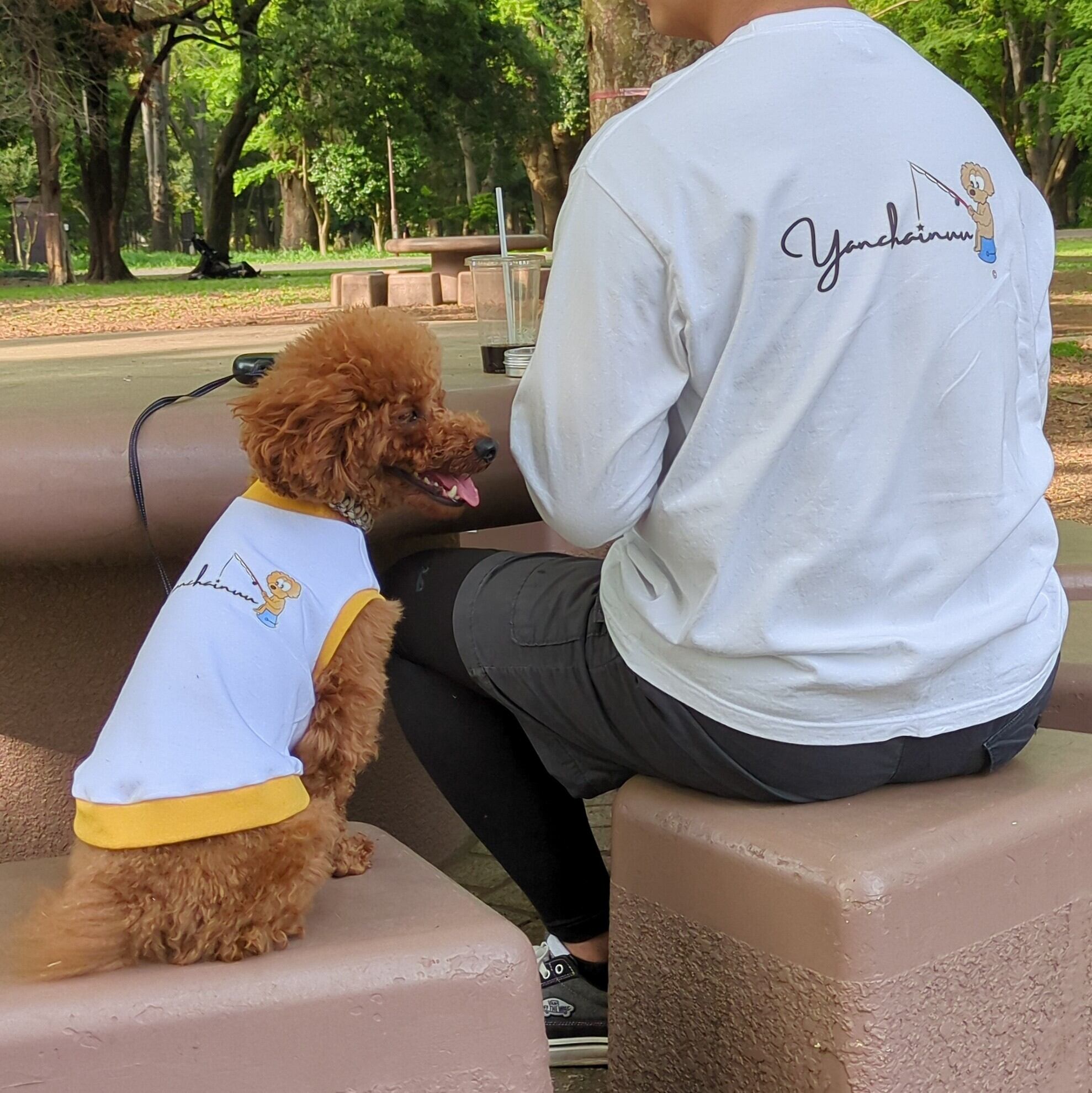 Lサイズ着用　トイプードル　大桜　首回り24-胴周り40-背丈44