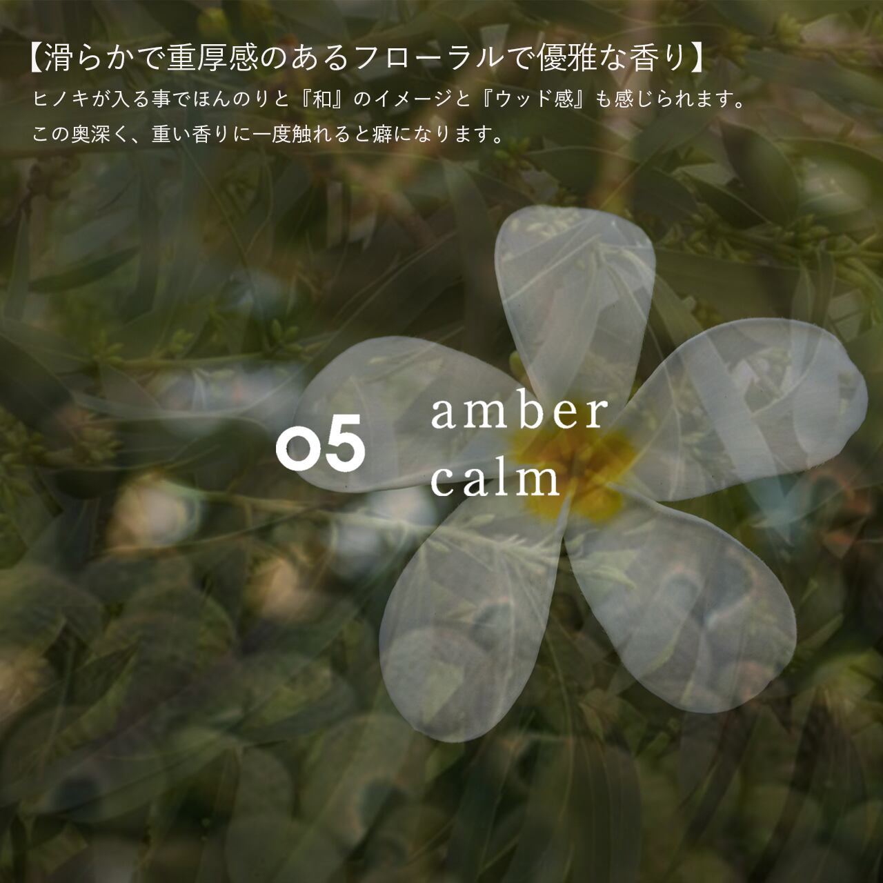 05 amber calm | 香りの特徴