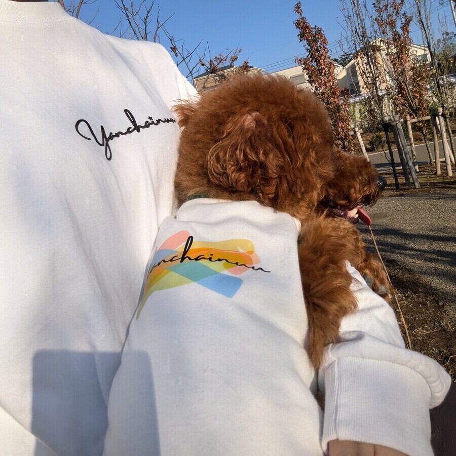 Lサイズ着用　トイプードル　大桜　首回り24-胴周り40-背丈44