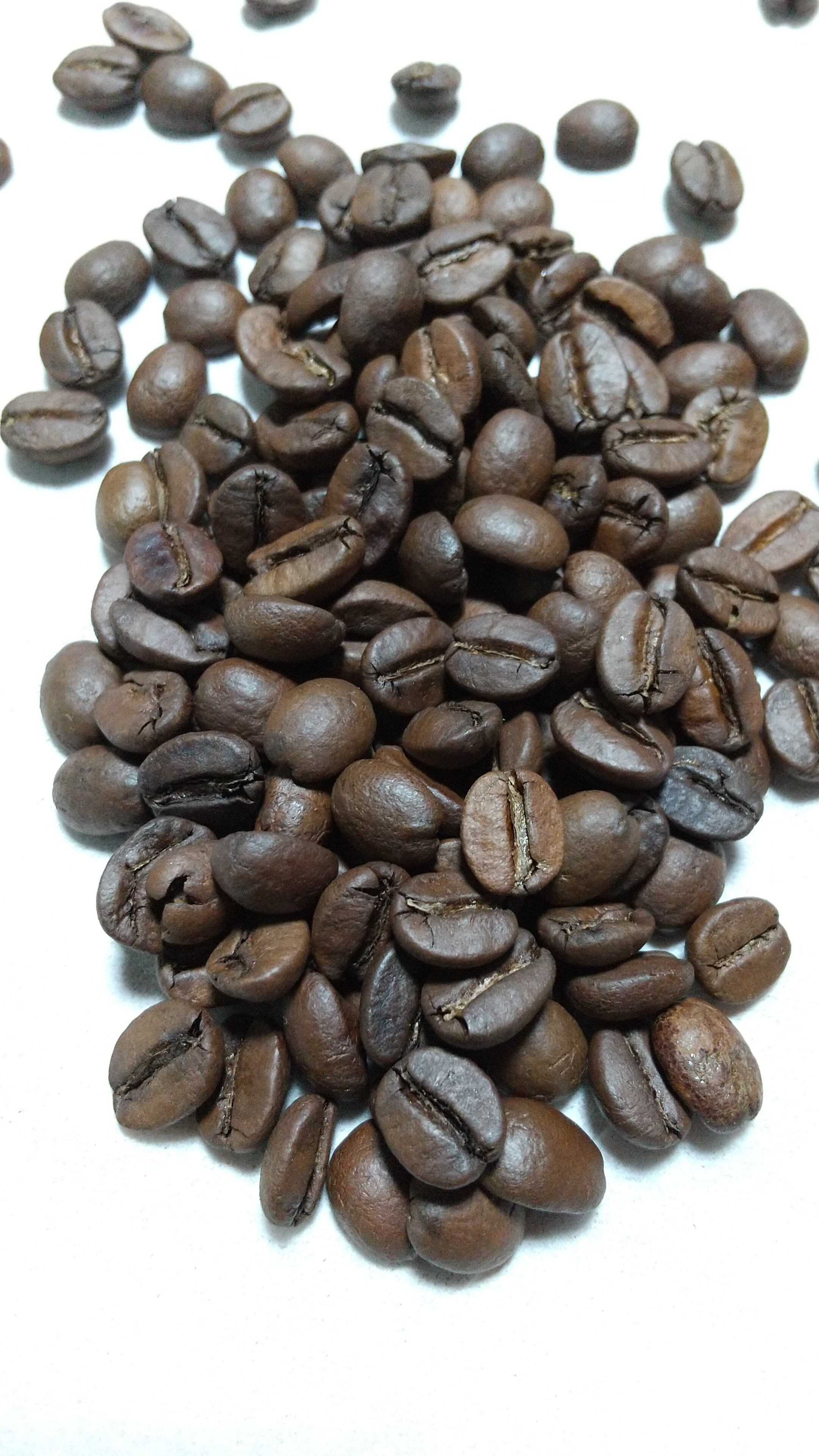 ブラジルサントス