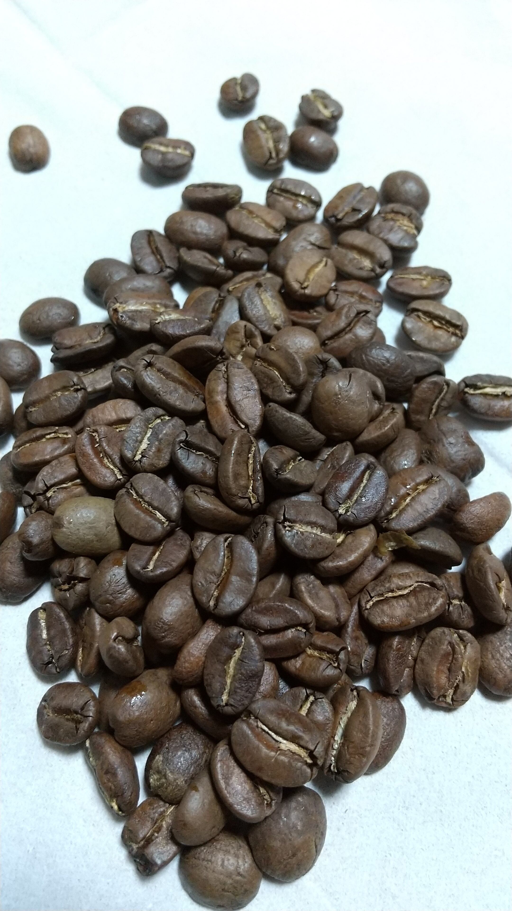 キリマンジャロ