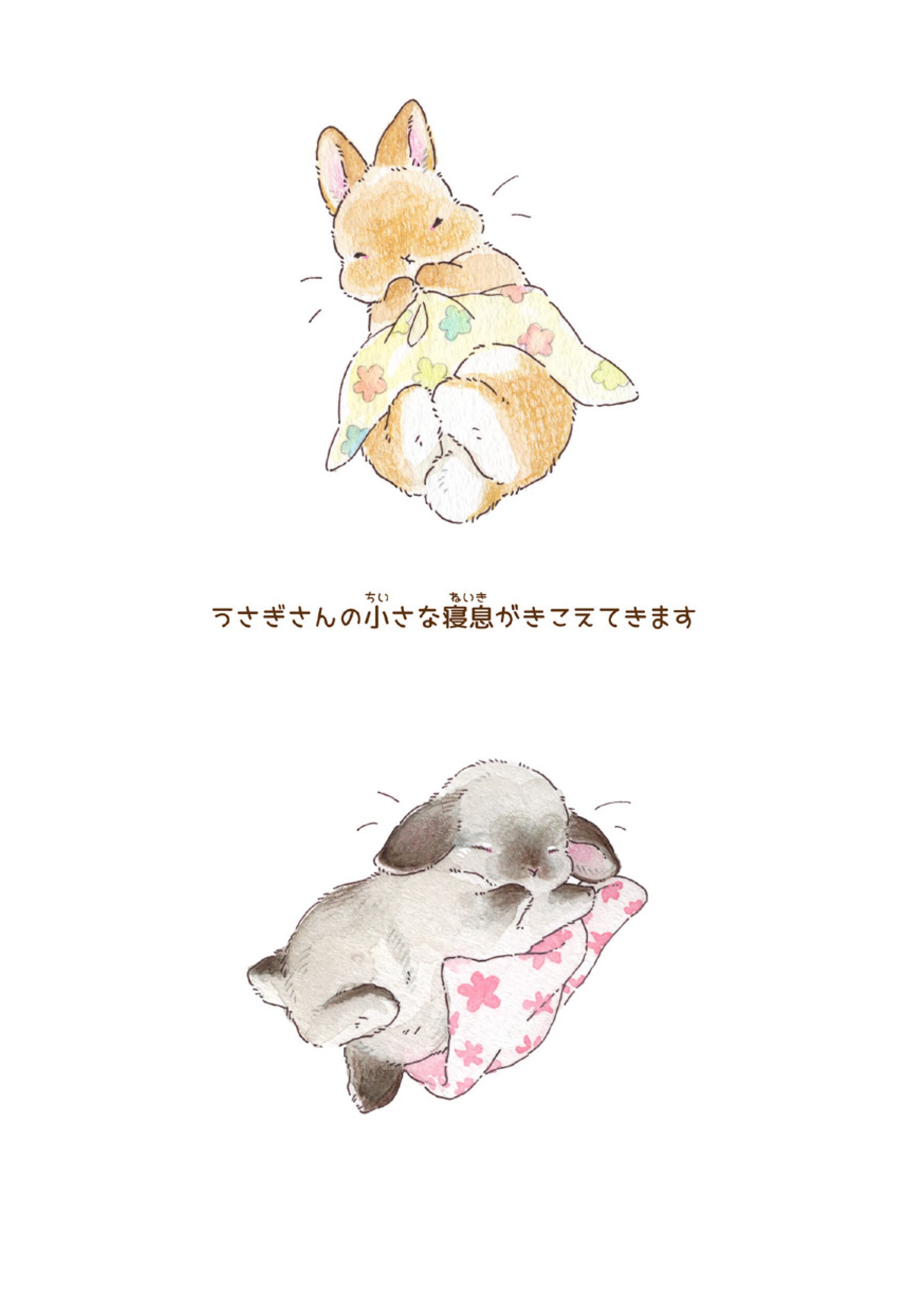 img_24a16727ef88d9b3219e42320a