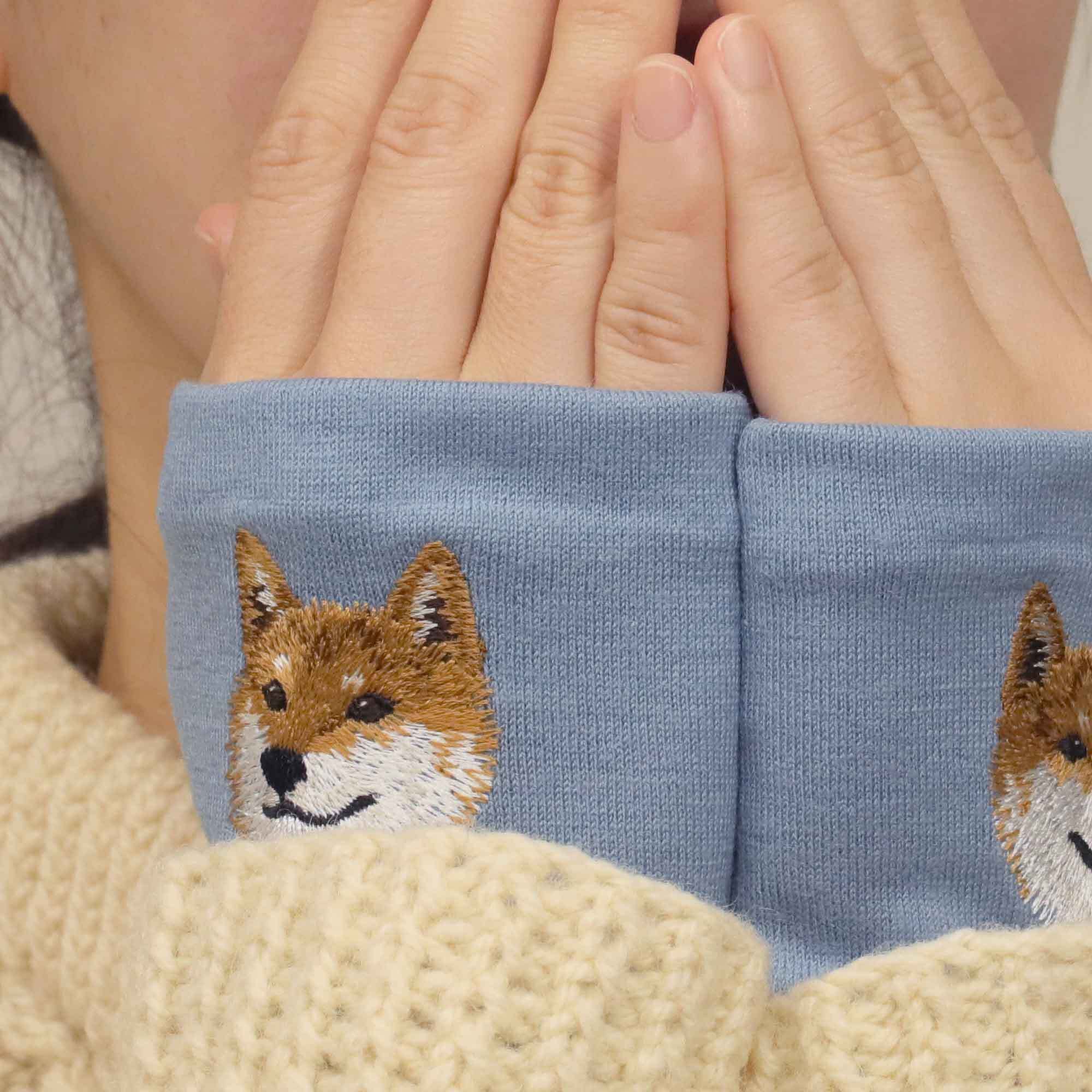 キリッと可愛い柴犬