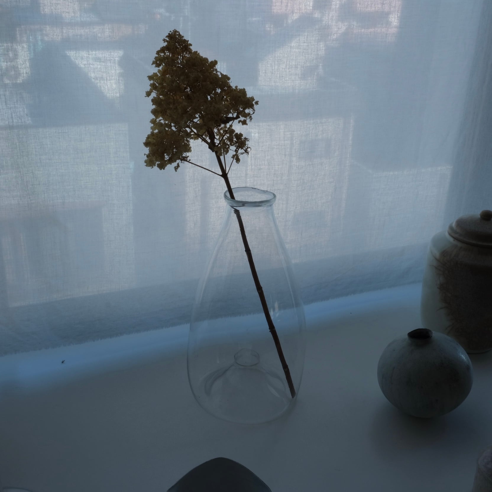 吉野の魚獲り瓶 瓶どう | まるや