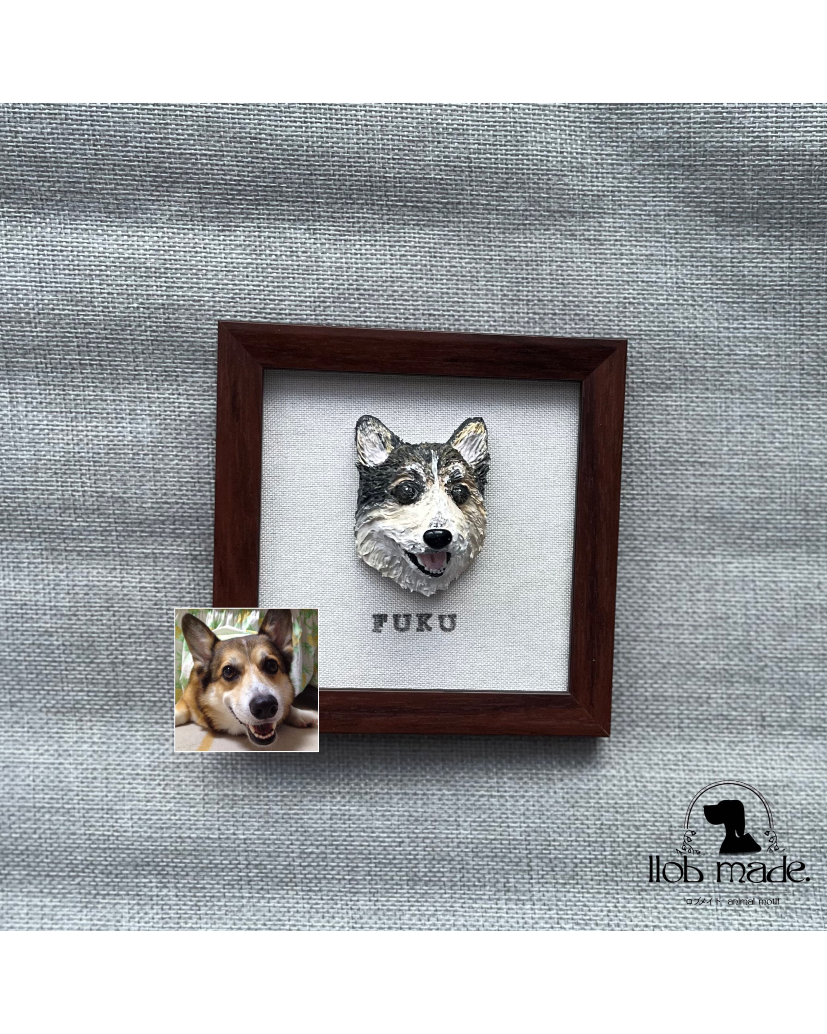 コーギーちゃん🐾