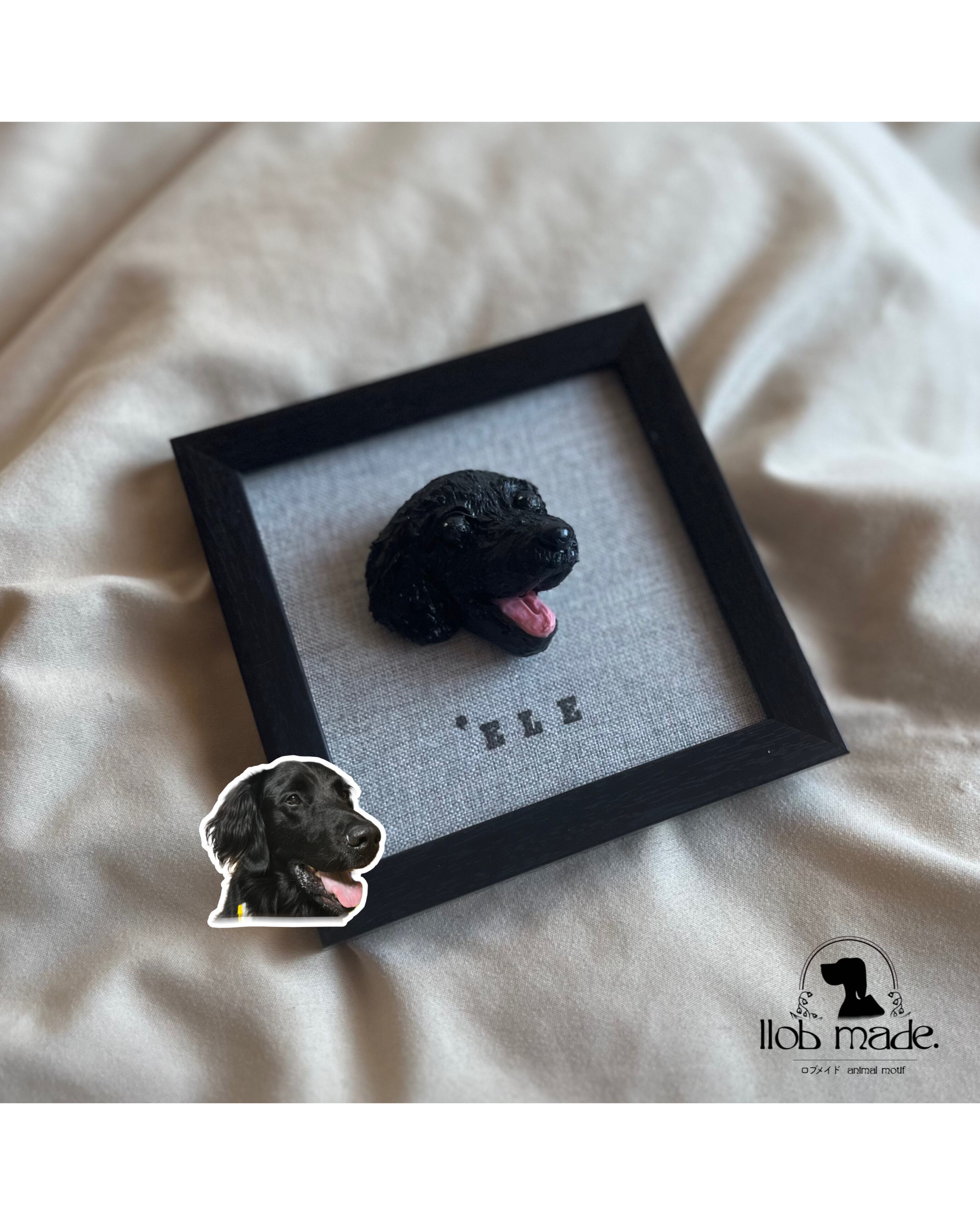 フラットコーテッドちゃん🐾