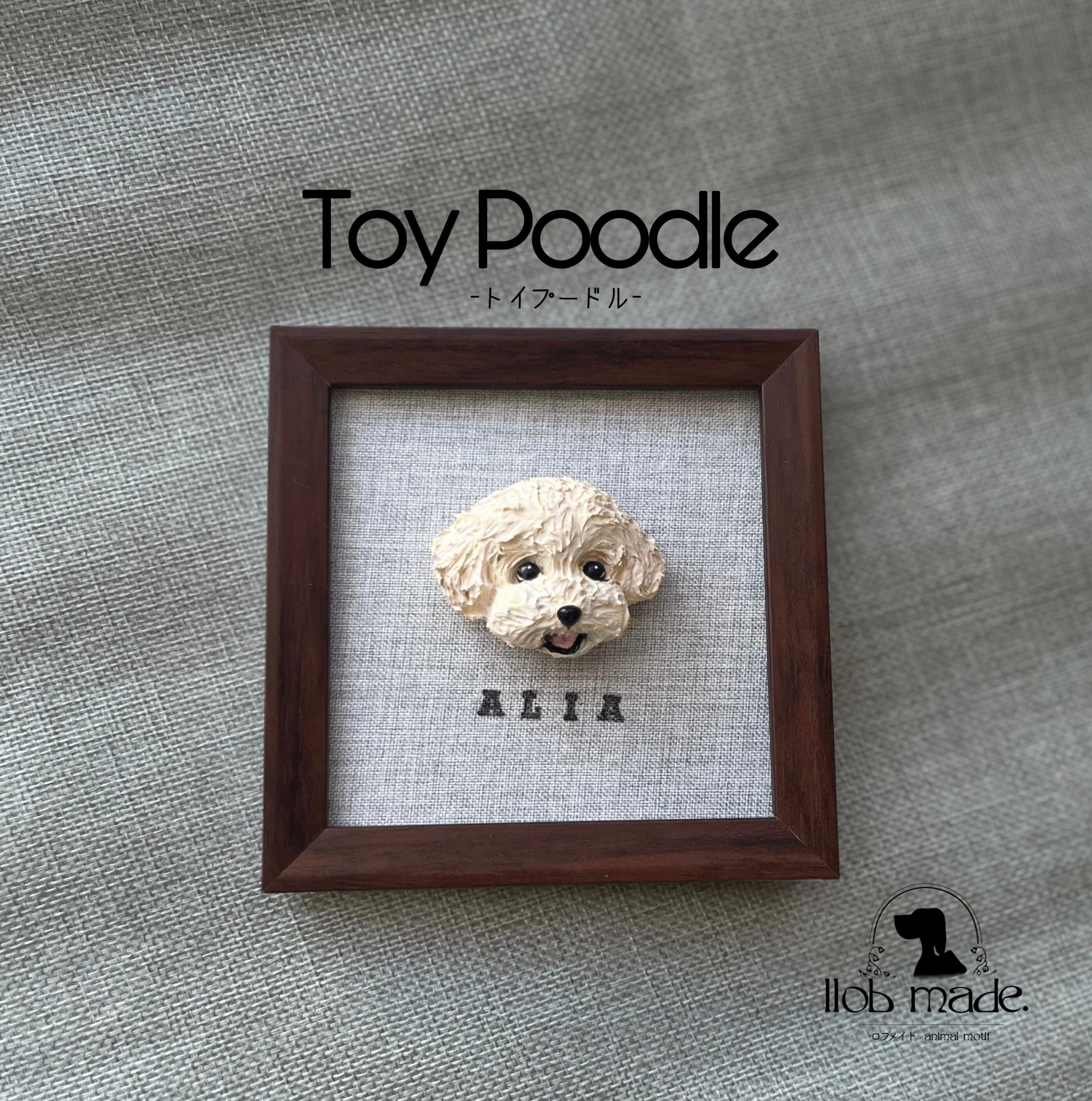 トイプードルちゃん🐾