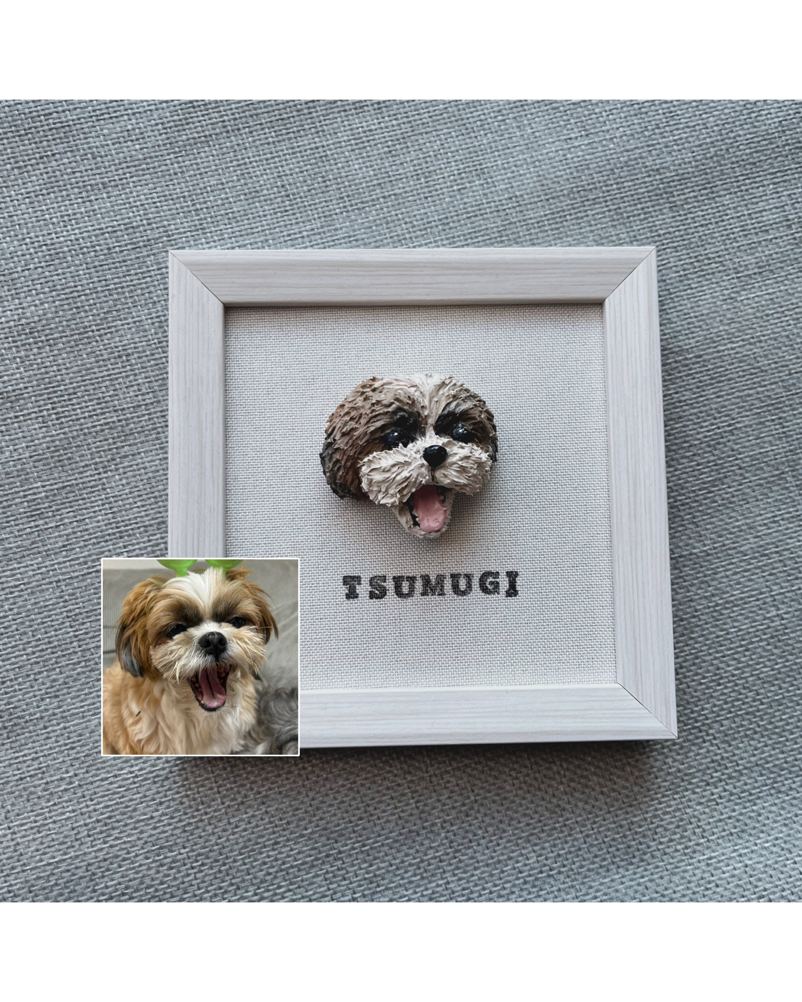 シーズーちゃん🐾