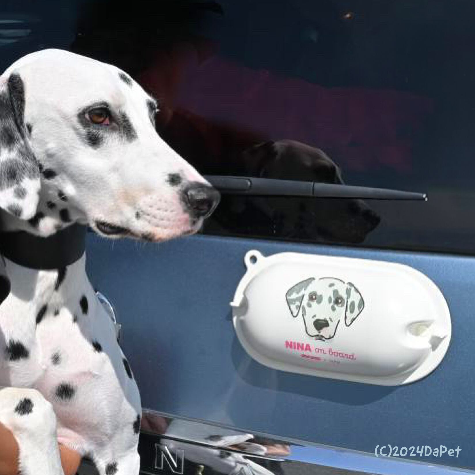 ダルメシアンのNINAちゃん