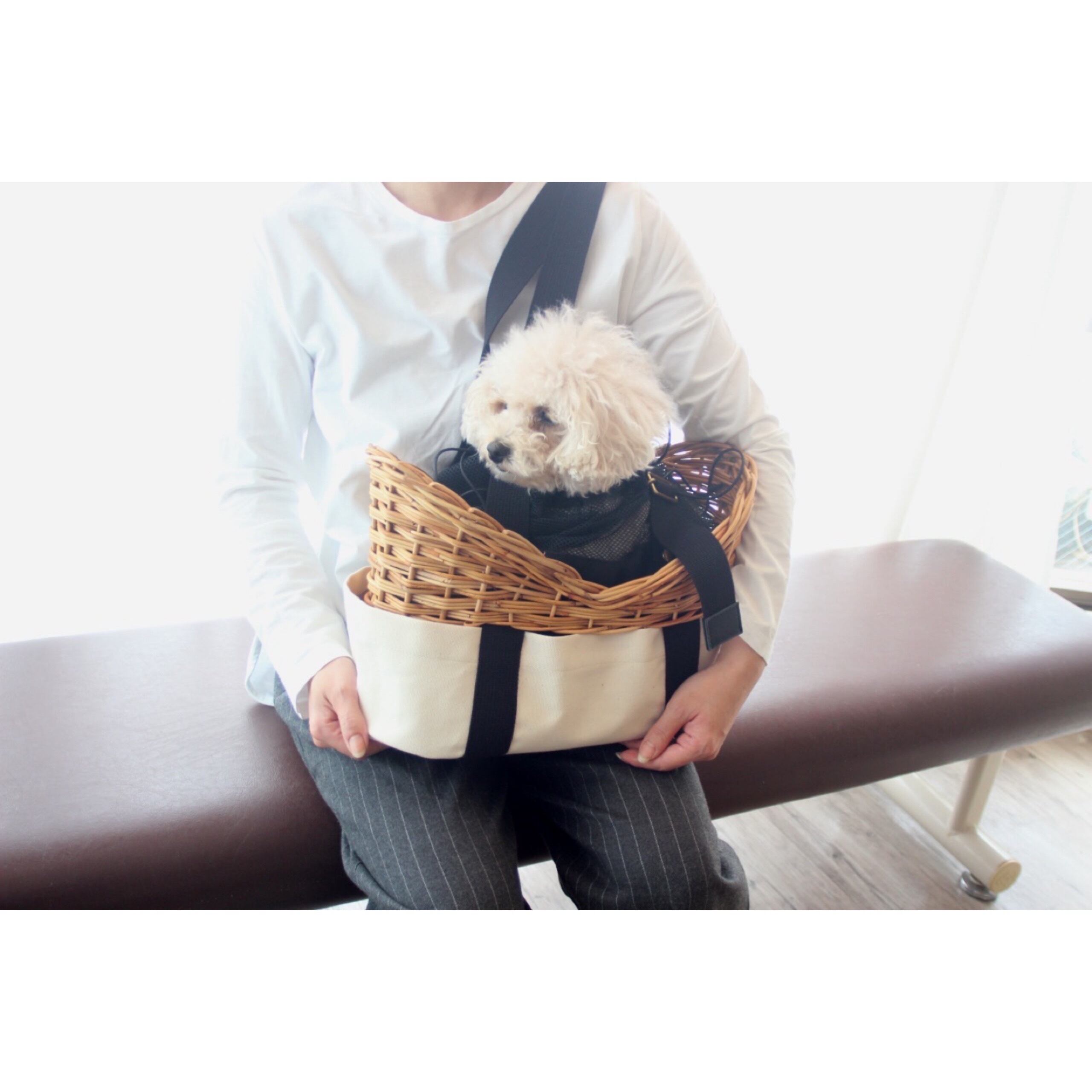 普段は顔だけ出して。