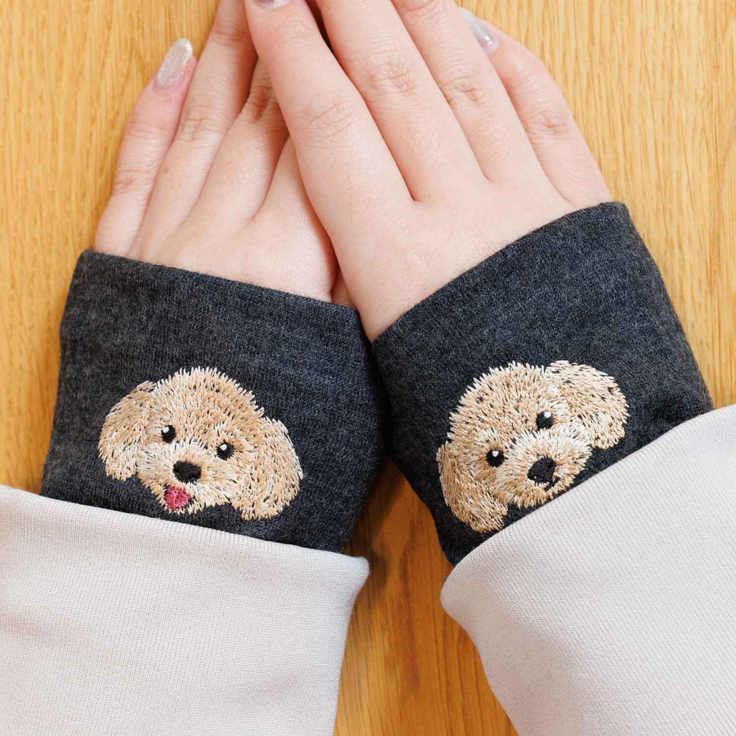 愛くるしいトイプードル