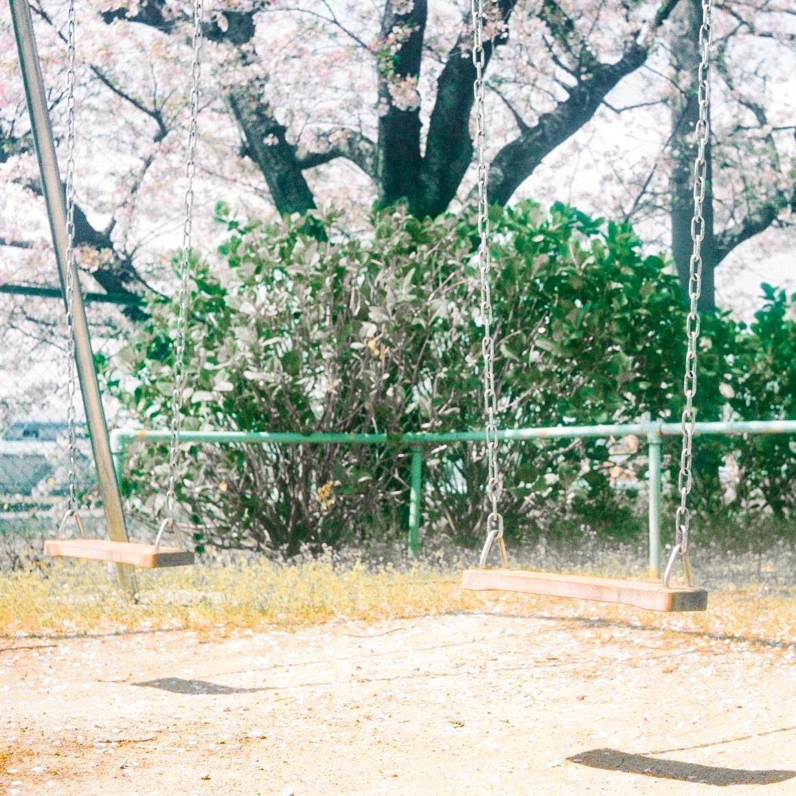 オートコードで撮る写真は、とにかく光が美しい