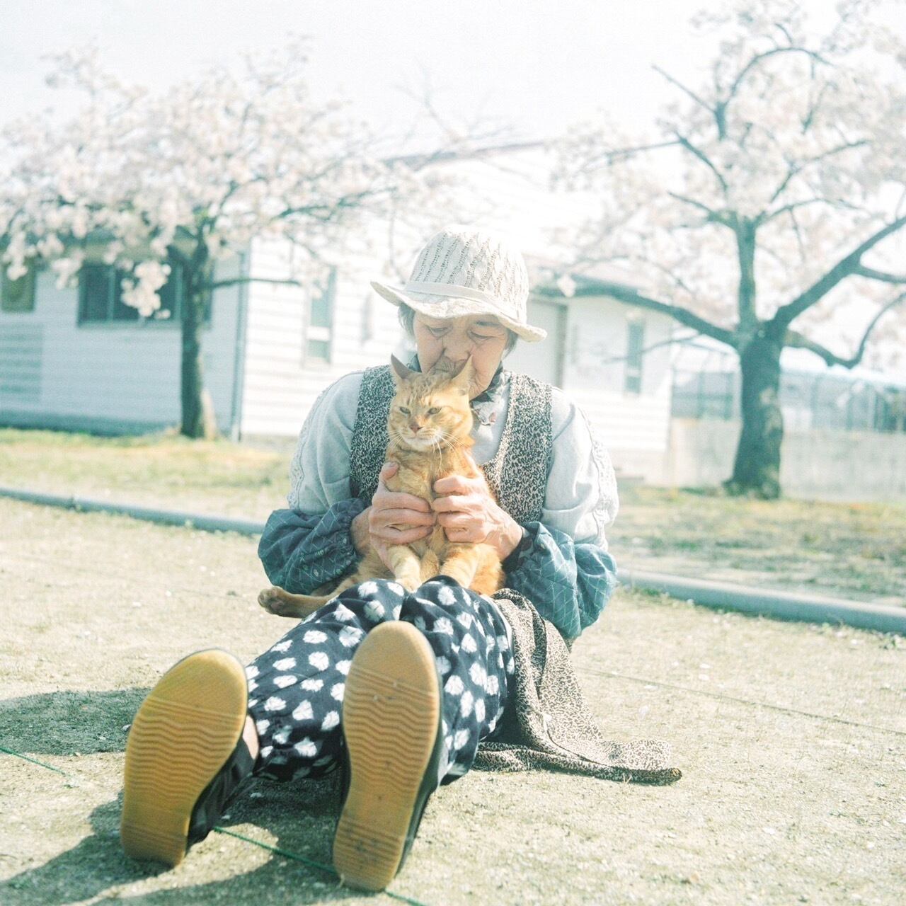 命の輝きを写せるレンズです