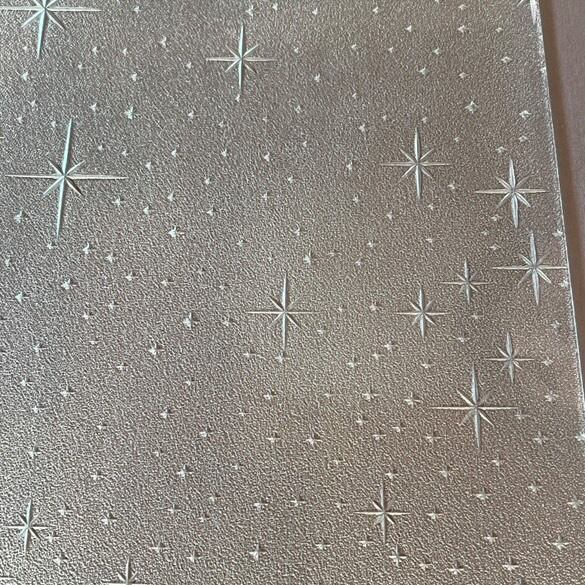 資料となった写真（昭和ガラス/銀河：板ガラス）