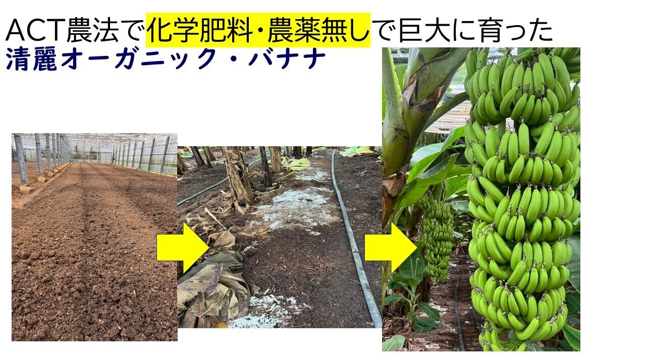 肥料・農薬の替わりに、マツタケ・白トリュフ菌根菌と樹皮で山と同じ自然の力で育てました。