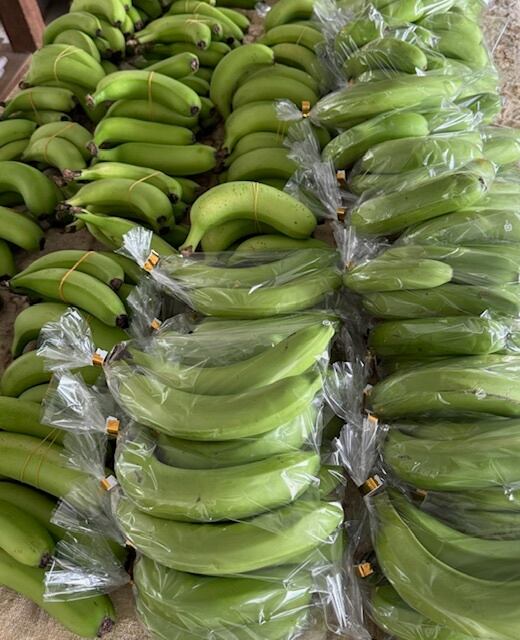 自然生態系の恵みで育った清麗オーガニックのバナナを是非お召し上がりください！