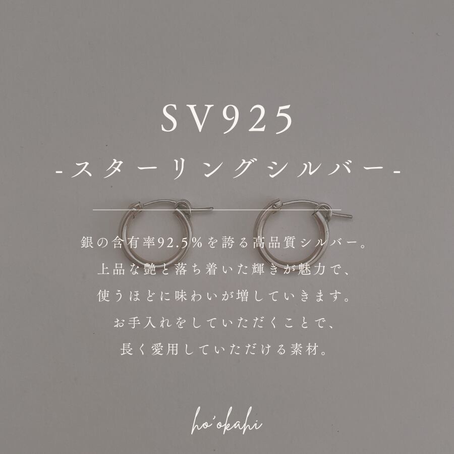 SV925について