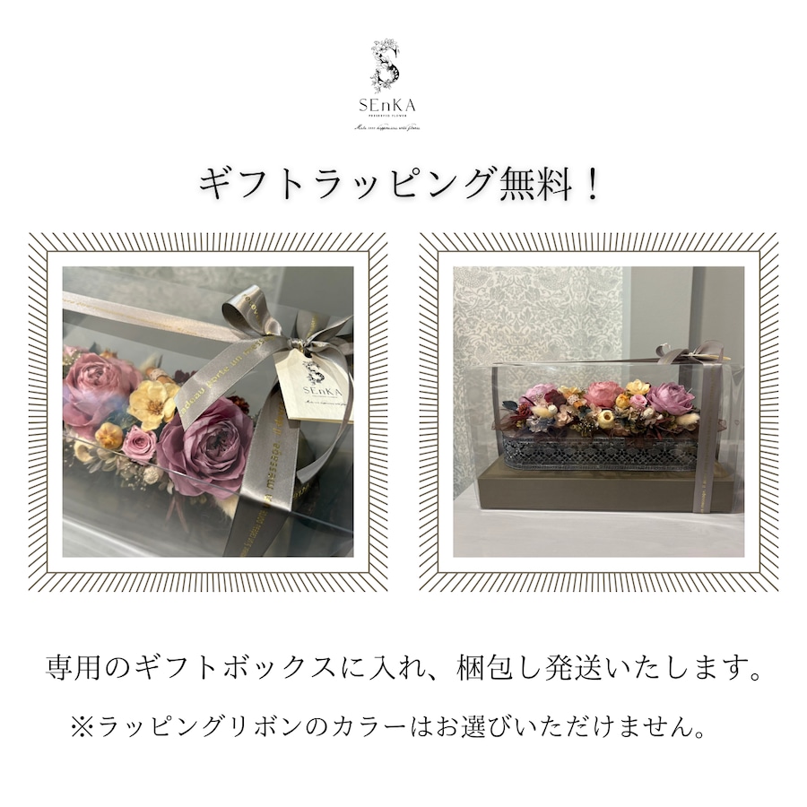 フラワーさん専用になりました。 img_aa1f4956a5aa759a34416d6ca4
